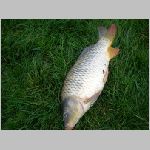 Popelov 17.9.2008 -34.JPG